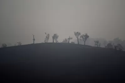 El humo proveniente de los incendios de Australia persistirá hasta mañana