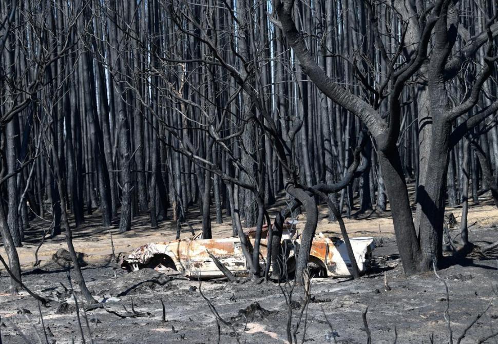  fotos reuters 