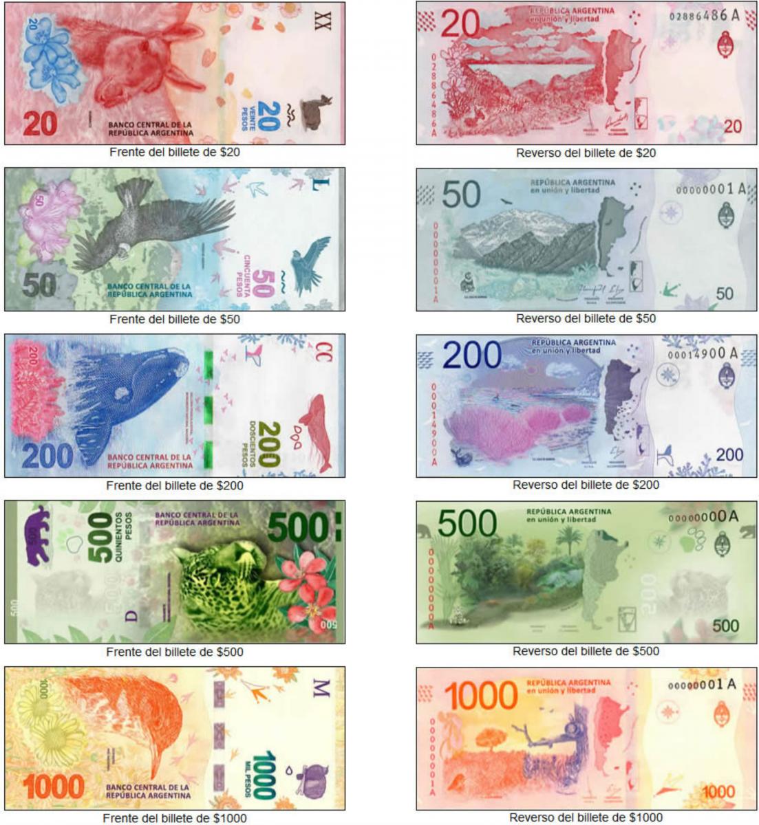 Es un hecho: el Banco Central confirmó cuándo sacarán los animales de los billetes