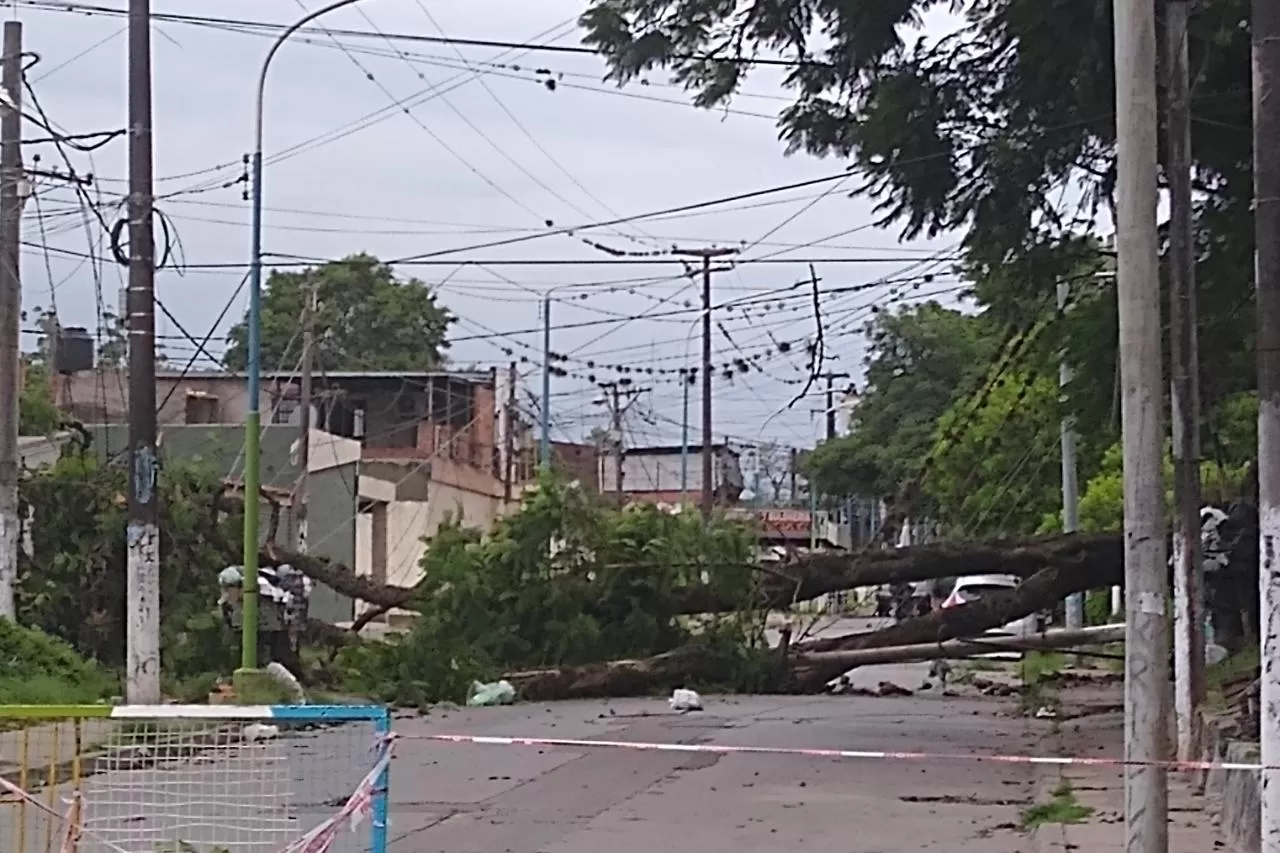 Los fuertes vientos de la madrugada del lunes de Reyes causó destrozos en la ciudad.