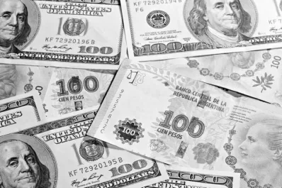 El dólar oficial cerró enero con un alza de cinco centavos
