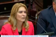 Crearon un Registro del Automotor y se lo dieron a un ex asesor de Elías de Pérez