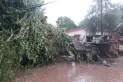 El viento volteó techos y árboles y el agua anegó calles y pueblos del interior