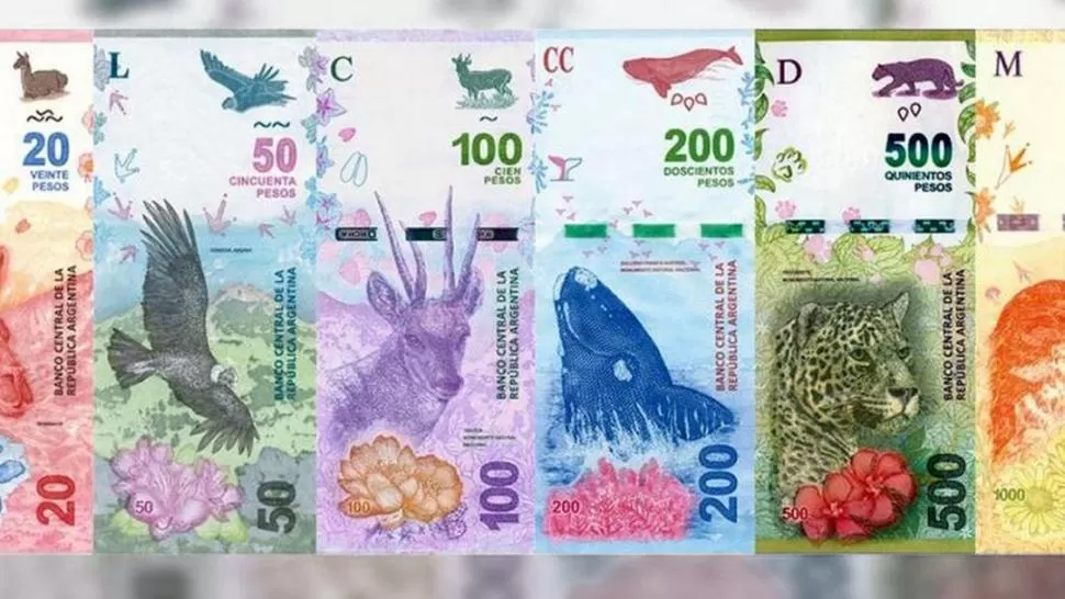 IMÁGENES. Pesce dijo que una parte de los billetes nuevos ya está impresa.  