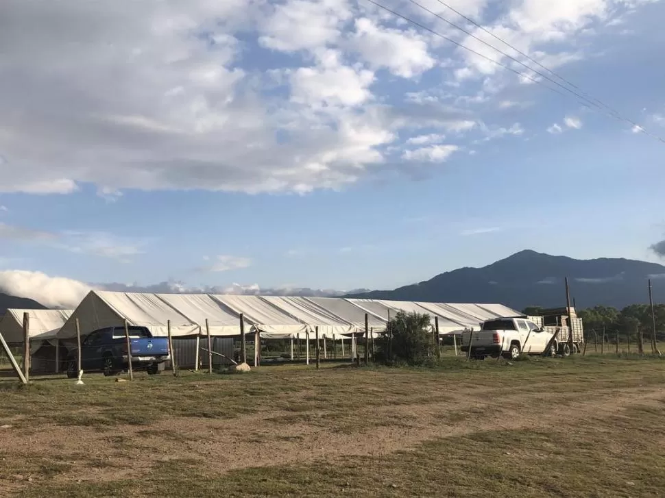 LAS CARPAS. En este predio funciona el boliche que ha desatado la discordia en la villa veraniega. Los dueños prometen cumplir las exigencias. 