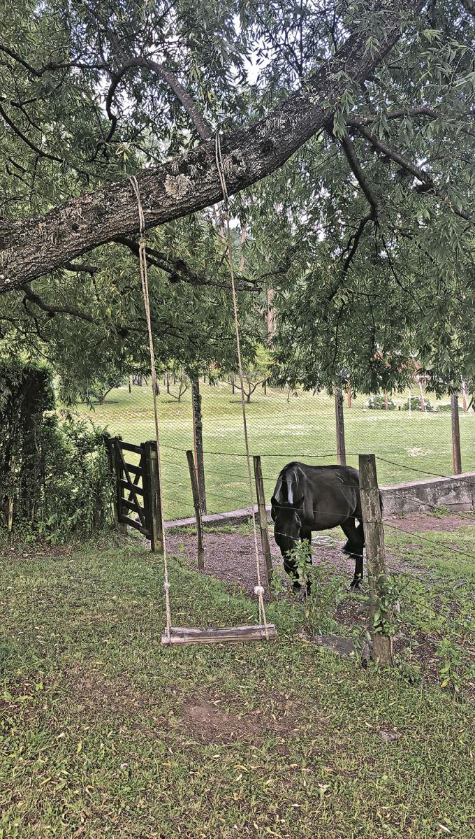 IMPRESCINDIBLES. Tafí del Valle no se entiende sin caballos para salir a pasear.