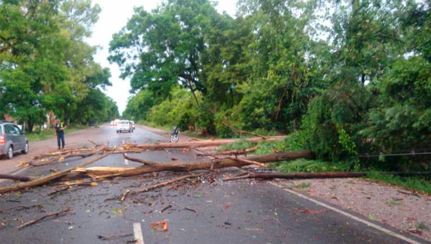 El viento volteó techos y árboles y el agua anegó calles y pueblos del interior