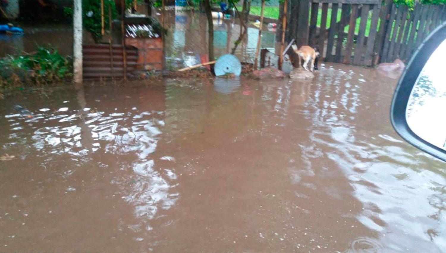 El viento volteó techos y árboles y el agua anegó calles y pueblos del interior