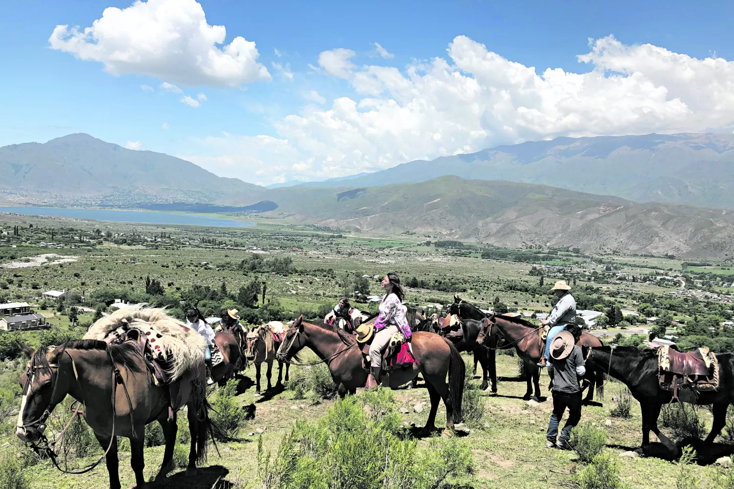 Al paso, al trote y al galope