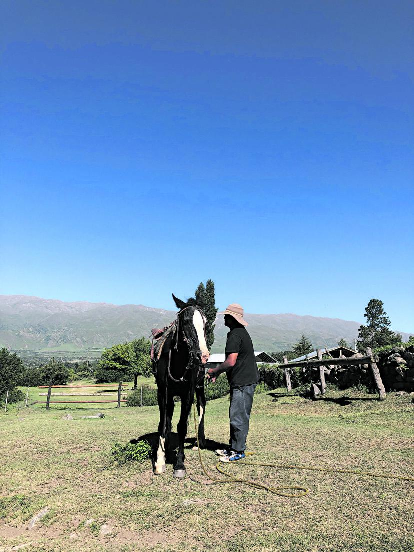 Al paso, al trote y al galope