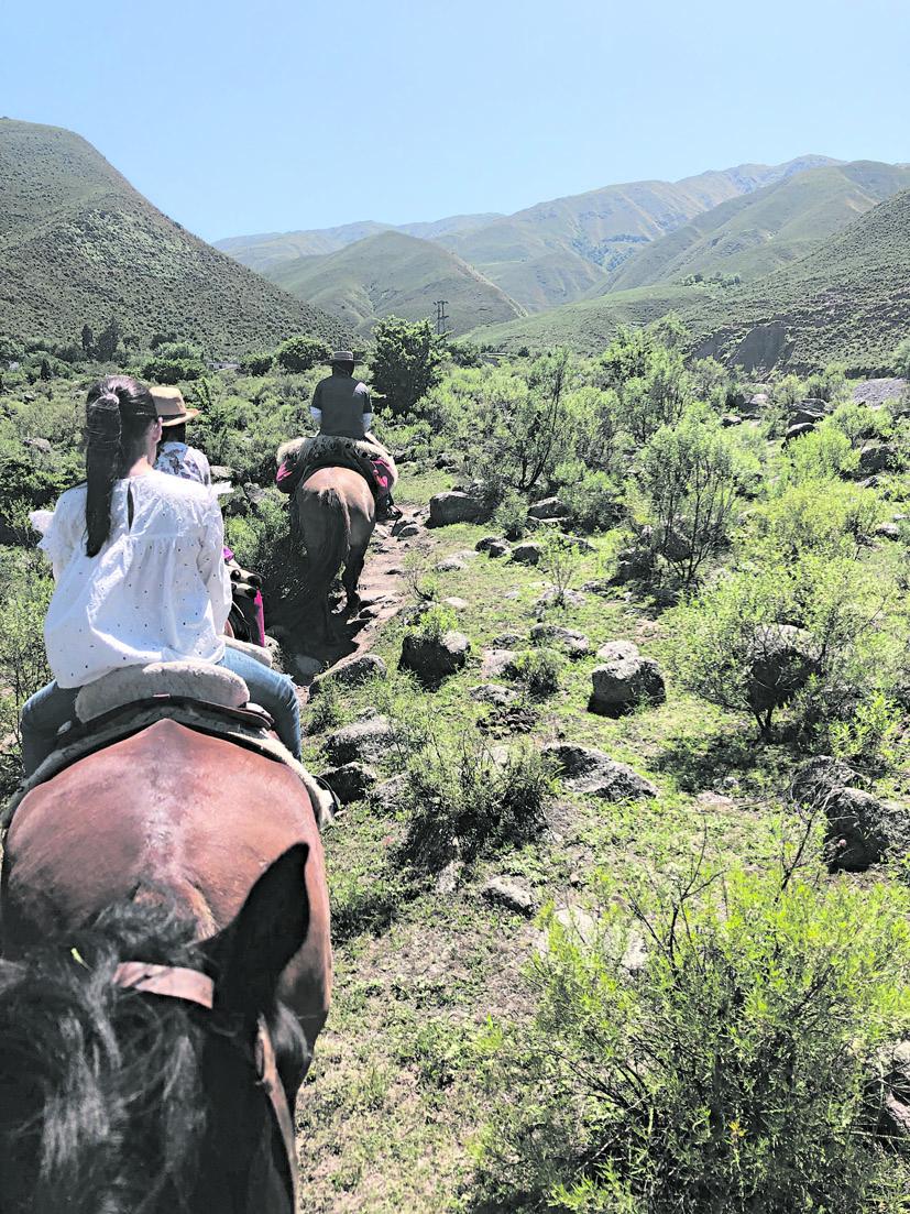 Al paso, al trote y al galope