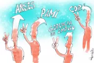 El PJ se posiciona en el PAMI; el kirchnerismo, en Empleo y Anses