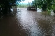 La tormenta de anoche hizo estragos en el interior de la provincia