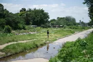 Seis claves para entender cómo será el beneficio de la tarjeta alimentaria