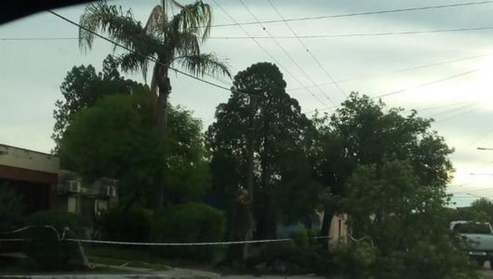 La tormenta de anoche hizo estragos en el interior de la provincia