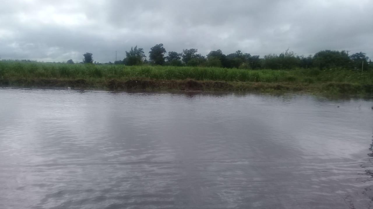 La tormenta de anoche hizo estragos en el interior de la provincia