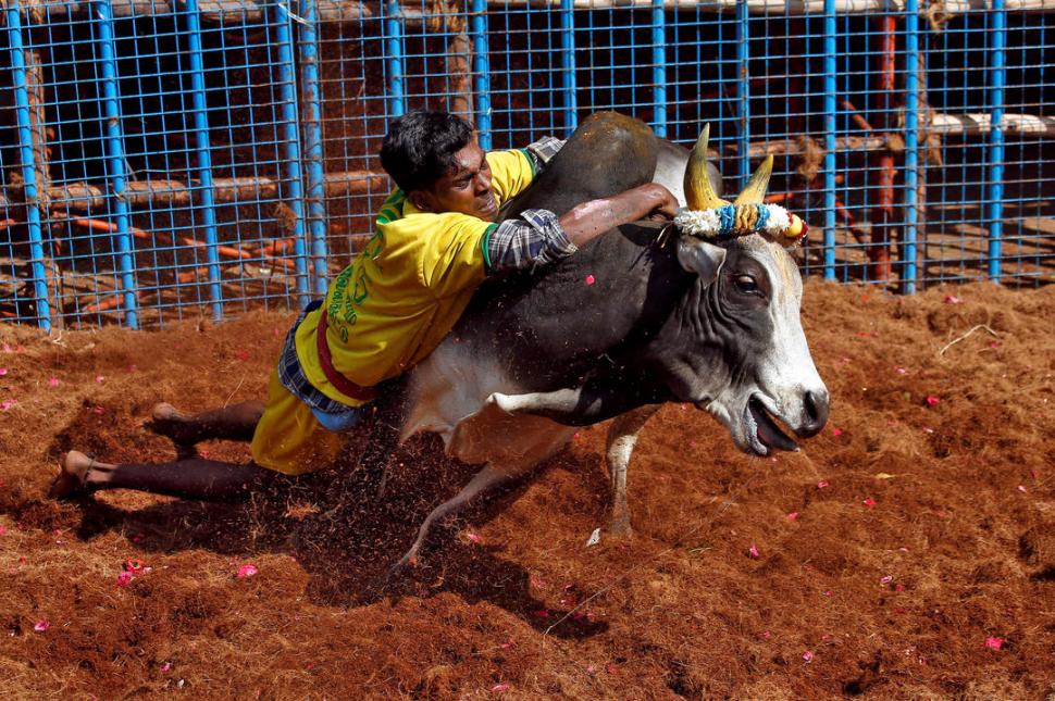  fotos reuters 
