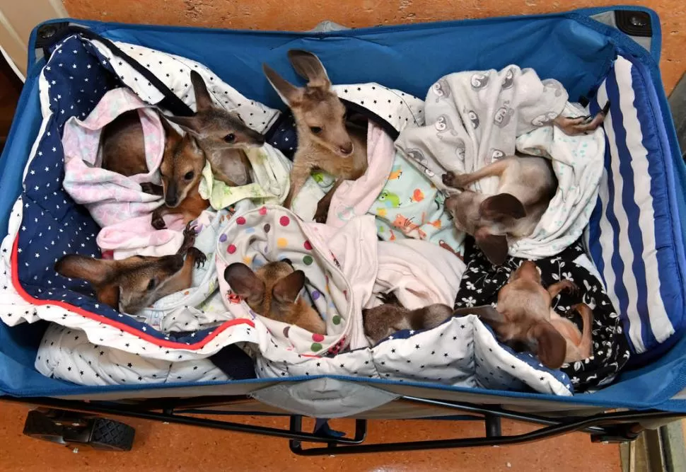  fotos reuters 