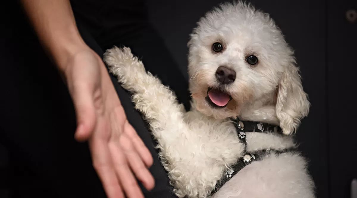 LA GACETA/FOTO DE JUAN PABLO SÁNCHEZ NOLI 