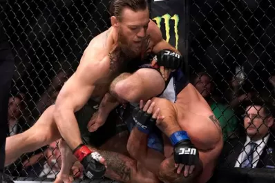 El auge de una lucha salvaje