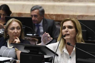 Presentaron un proyecto para crear el Consejo Económico y Social