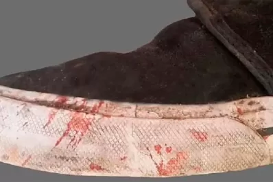 Esta es la zapatilla con la que patearon a Fernando Báez Sosa hasta matarlo