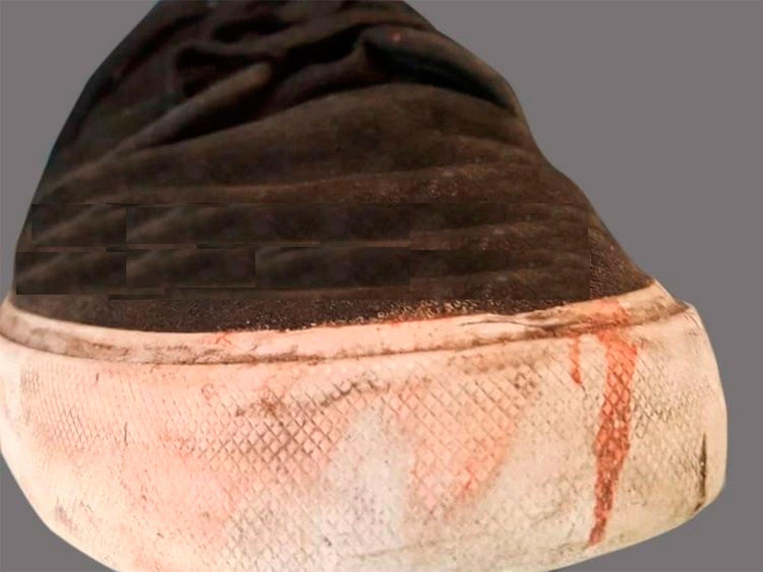 Esta es la zapatilla con la que patearon a Fernando Báez Sosa hasta matarlo