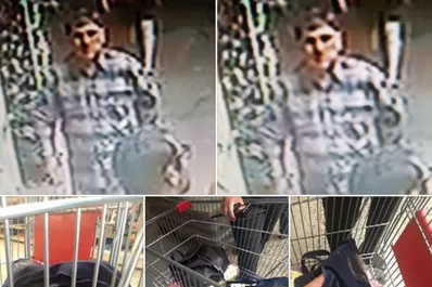 Robo en un supermercado: le cambiaron la cartera por dos panes dulces