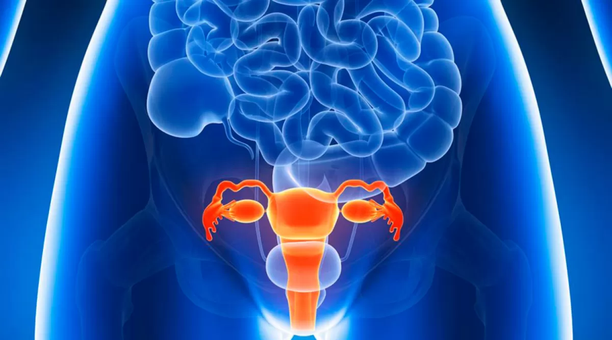TRANSPLANTE DE ÚTERO. Los problemas de fertilidad afecta a millones de mujeres. IMAGEN TOMADA DE TECKRISPY.COM