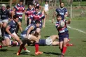 Un club de rugby prohibió el consumo de alcohol durante el tercer tiempo