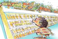 La canasta alimentaria tucumana no promueve una dieta saludable, según una especialista 
