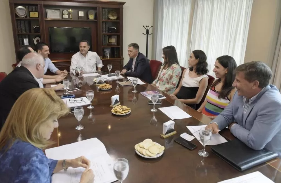 LABOR PARLAMENTARIA. Amado (cabecera) presidió la reunión en la que se definieron los temas del orden del día. prensa legislatura