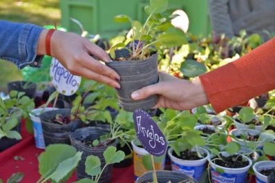 Hoy se realizará un nuevo Eco Canje