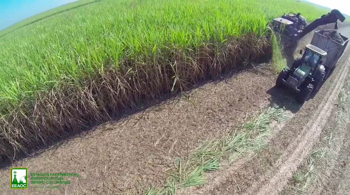 ACTUALIDAD. En la agricultura de hoy se habla de sustentabilidad, una manera de producir con renta haciendo el menor daño posible al ambiente.  