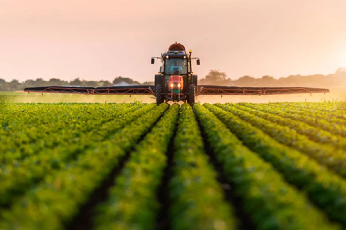 Fertilizar ayuda a lograr mejores rindes