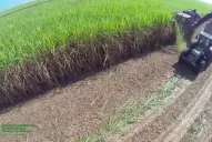 La agroecología es cada vez más una cuestión a tratar