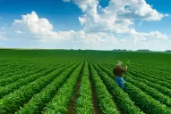 Para la Estación Experimental, la clave está en el monitoreo