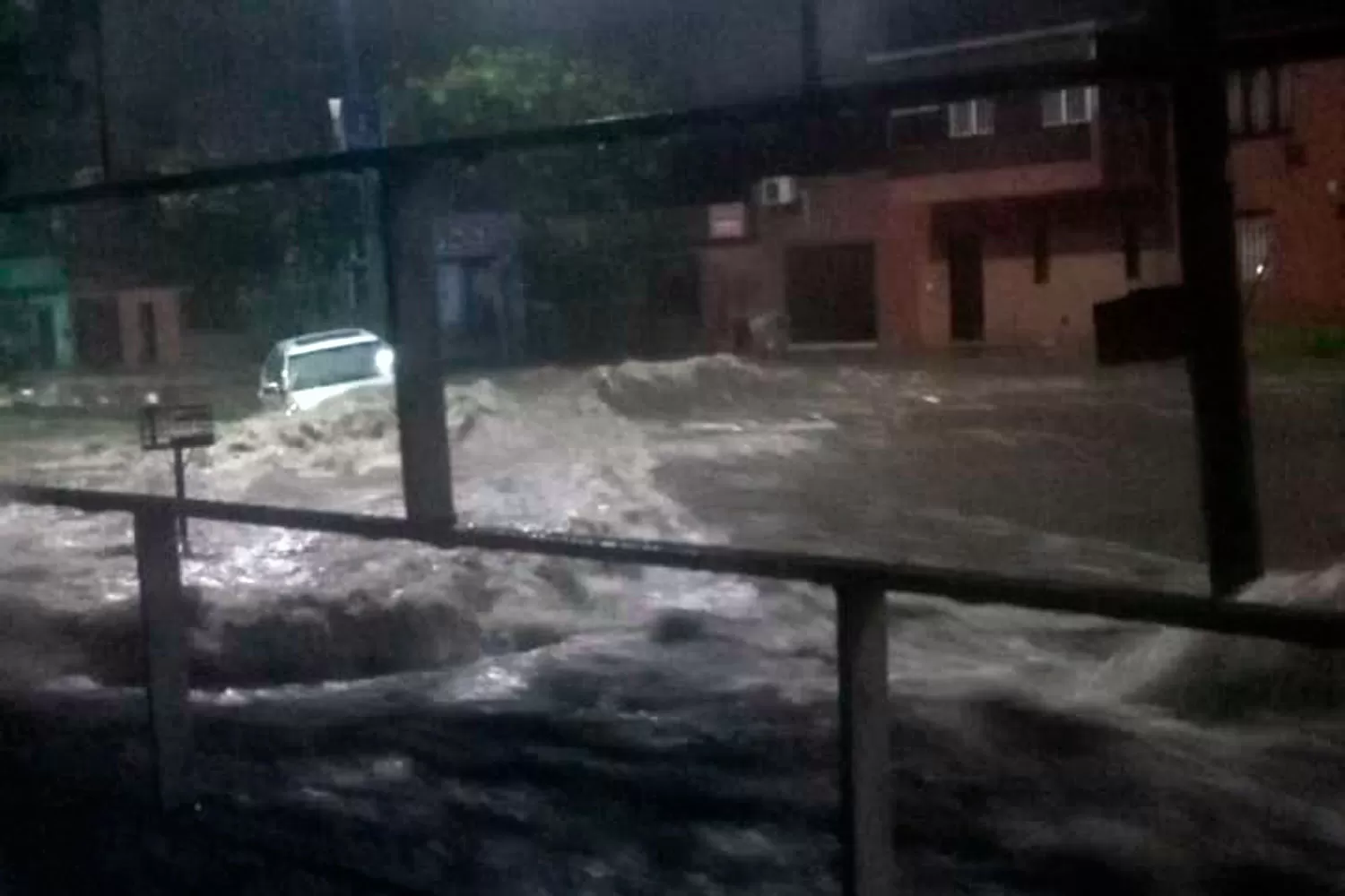 CONSECUENCIAS. La intensa lluvia provocó la caída de árboles, la baja de suministros y casas anegadas.