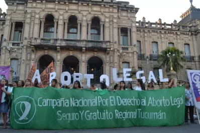 Vilma Ibarra dijo que el Gobierno ya tiene listo el proyecto de legalización del aborto