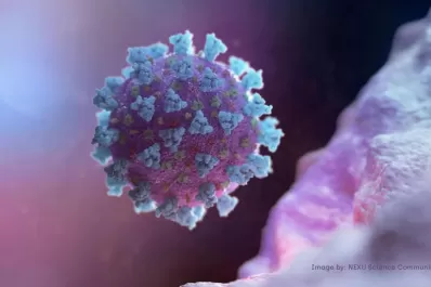 Coronavirus: la economía global puede “descarrilar”, alerta el FMI