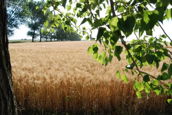 Proponen mejorar la producción sin afectar el ambiente