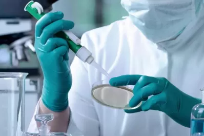 Harían sueros a partir de células madre de serpientes