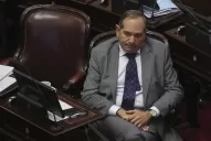 Alperovich no se reintegrará a la Cámara Alta