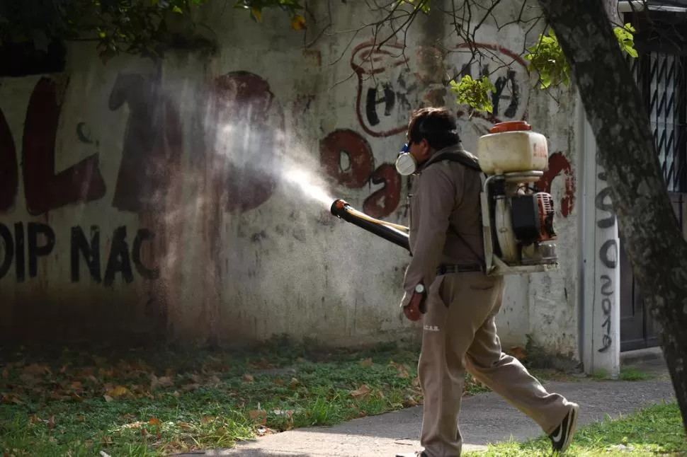 FUMIGACIÓN. Los insecticidas sólo eliminan a los mosquitos adultos y, según el producto, a algunas larvas. la gaceta / foto de Analía Jaramillo