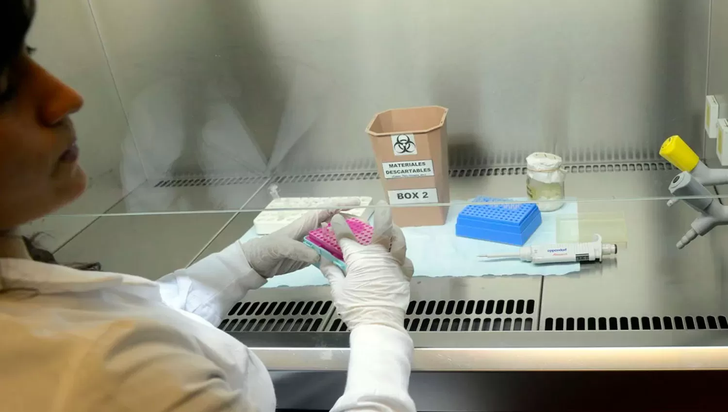 EN EL LABORATORIO. Uno de los científicos que analiza las muestras de coronavirus.