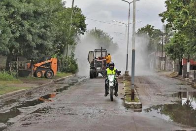 Fumigaciones: ¿cómo sabemos si están bien hechas y no nos harán daño?