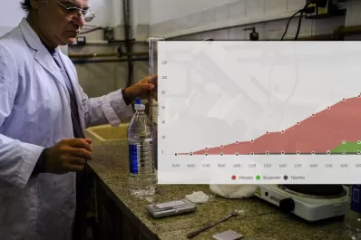 Cinco gráficos para entender la pandemia de coronavirus en Argentina y en el mundo