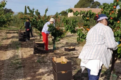 Por la pandemia, la UE amplía la ayuda a productores