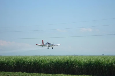 Bien utilizados, los maduradores de caña implican beneficios económicos