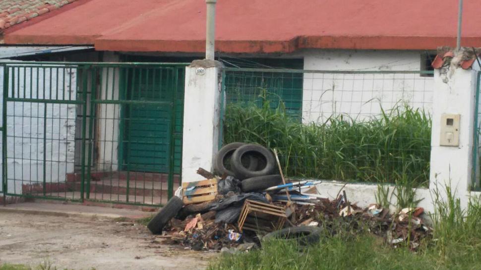 No debemos olvidarnos del dengue, advierten los especialistas